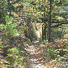 Hiking Trip in Virginia by StumpfromGeorgia in Views in Virginia & West Virginia