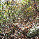 Hiking Trip in Virginia by StumpfromGeorgia in Views in Virginia & West Virginia