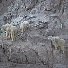 2016 Glacier National Park by Marta in Continental Divide Trail