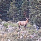 2016 Glacier National Park by Marta in Continental Divide Trail