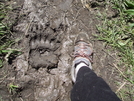 Glacier Np, 6/2008 by Marta in Continental Divide Trail