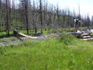 Bridge In Glacier Np