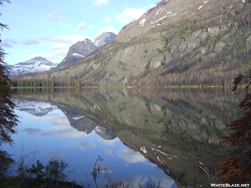 Glacier N P, 2008