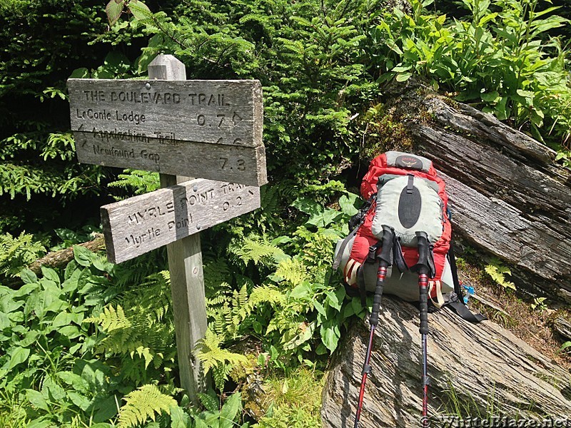 AT in the Smokies & MT Leconte