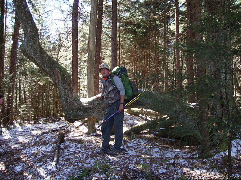 A T Oct 2013 north of Clingmans Dome