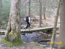 Backpacking 2008