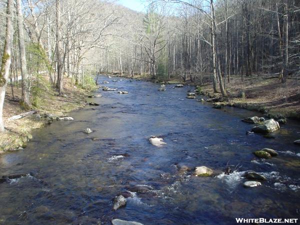 view upstream on Hazel Creek