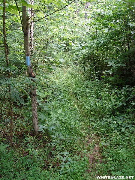Pinhoti Trail, June 2009