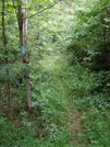 Pinhoti Trail, June 2009