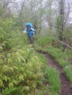 Clingman's Dome To Fontana by Bearpaw in Views in North Carolina & Tennessee