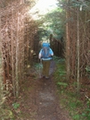 Gsmnp, July 1-6 08 by Bearpaw in Trail & Blazes in North Carolina & Tennessee