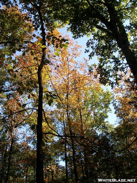 Mammoth Cave Oct 09