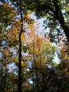 Mammoth Cave Oct 09