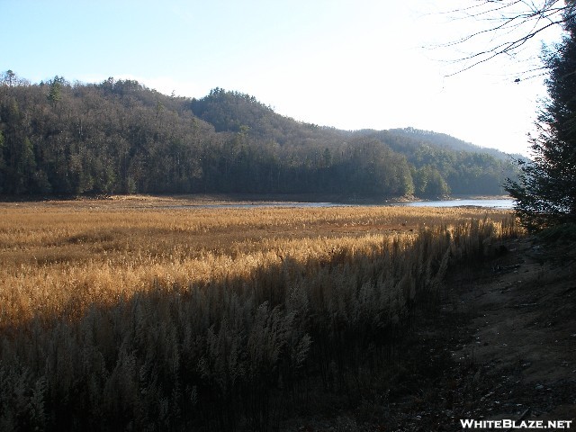 Bearpaw's Foothills Trail Dec 08