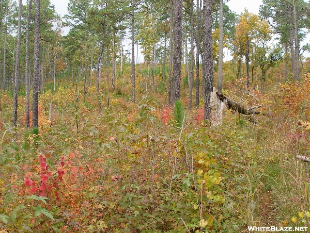 Pinhoti Trail October 2009