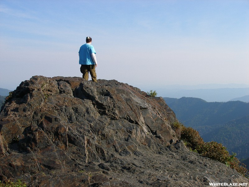 Gsmnp, July 1-6 08