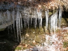 Bearpaw's Foothills Trail Dec 08