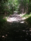Grayson Highlands/imt Hike
