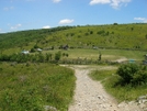 Grayson Highlands/imt Hike