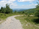 Grayson Highlands/imt Hike