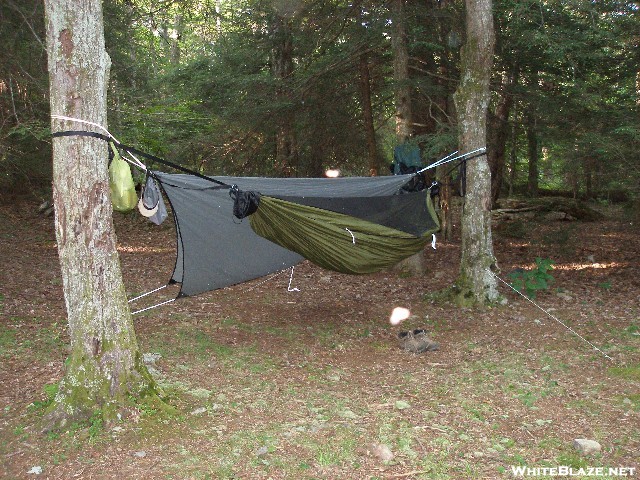 Grayson Highlands/imt Hike