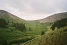 Entering more open country by Bearpaw in Colorado Trail