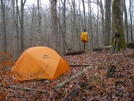 MSR Hubba Hubba at Mammoth Cave NP by Bearpaw in Tent camping