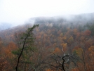 Wet Misty Morning