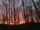 Sunset - Mammoth Cave Np