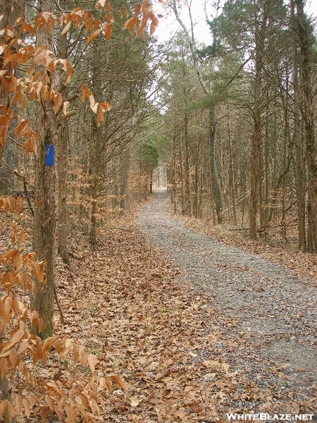 Collie Ridge Trail - Mammoth Cave Np