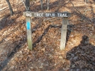 Savage Gulf Sna by Bearpaw in Other Trails