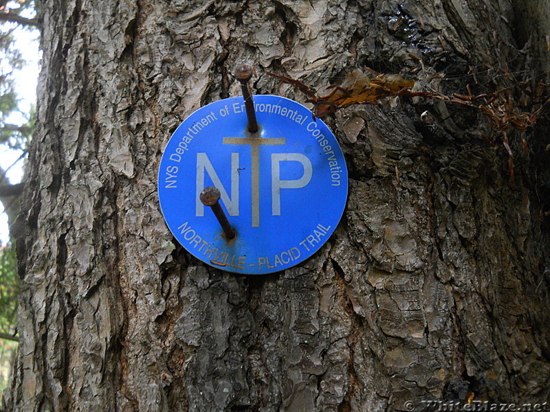 Northville Placid Trail in Adirondacks