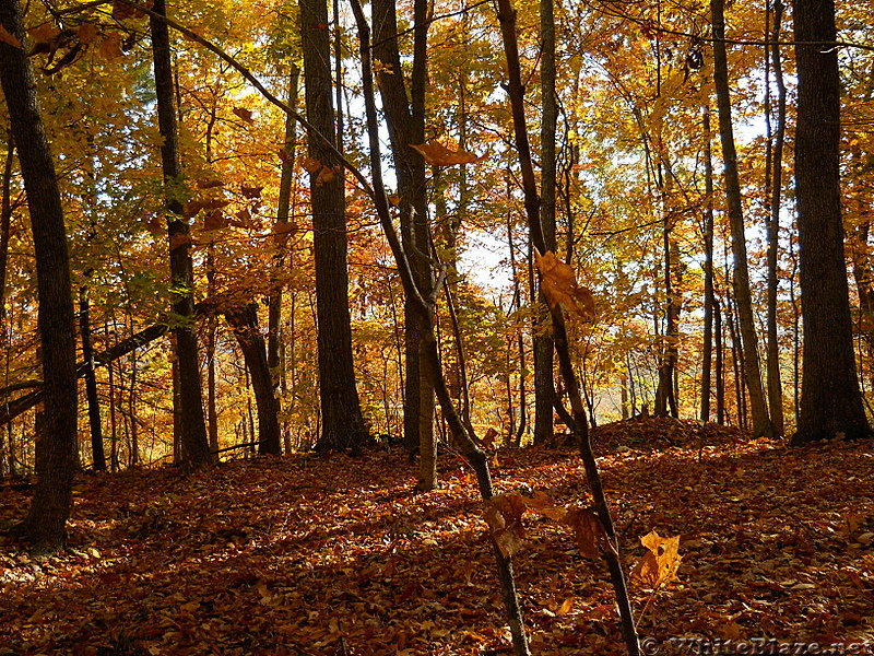 Allegheny Trail