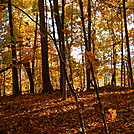 Allegheny Trail by Cookerhiker in Other Trails