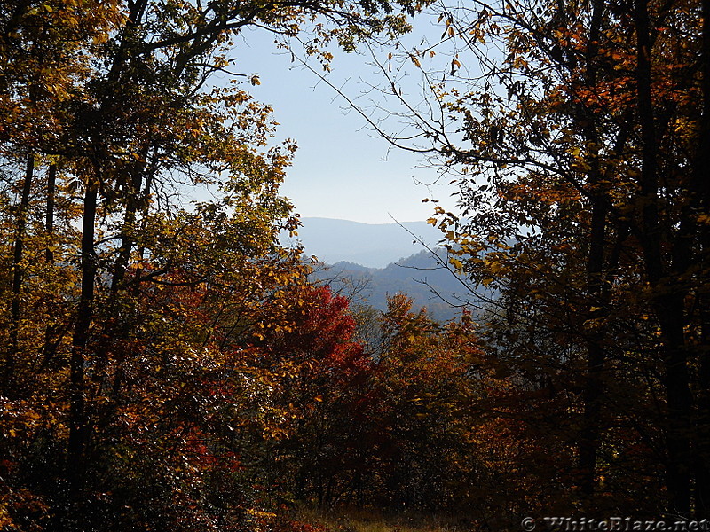 View eastward towards VA line from Allegheny Trail