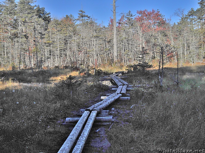 Northville Placid Trail in Adirondacks