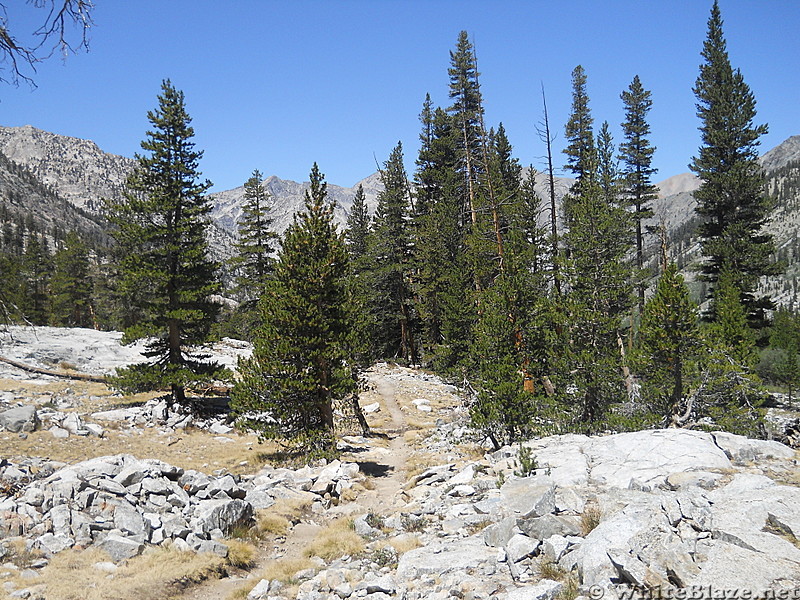 JMT north of Woods Creek junction