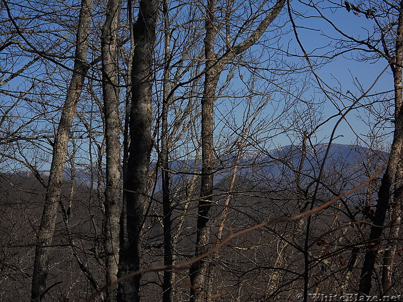 View from Swim Bald