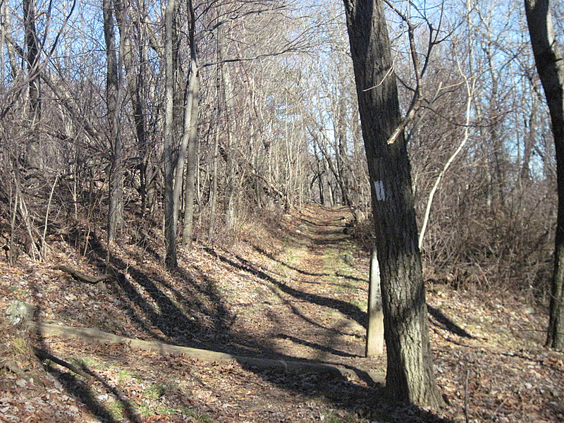 Shenandoah NP