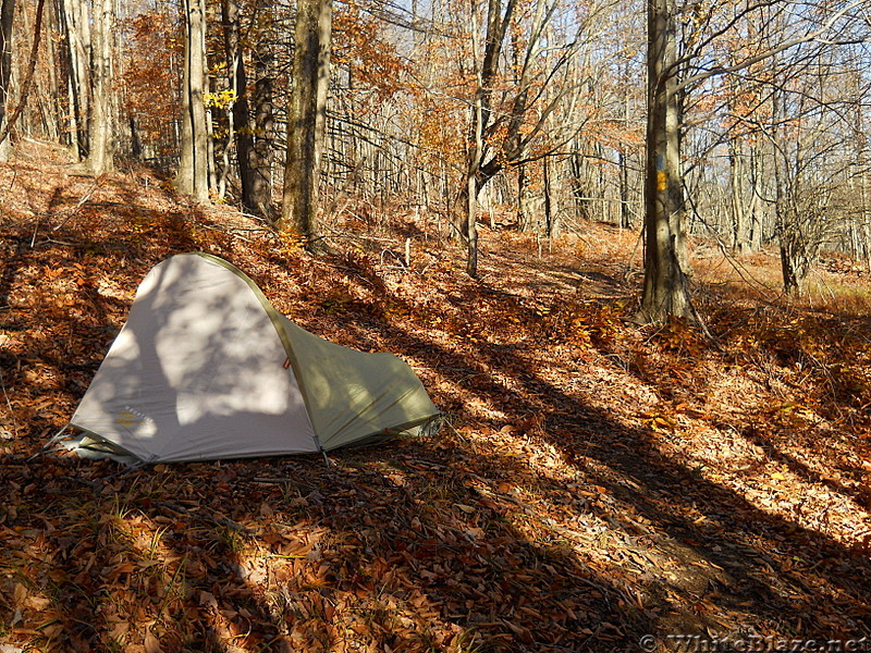 Allegheny Trail campsite