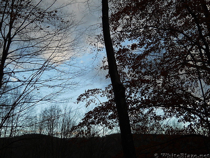 Early morning sky on Allegheny Trail