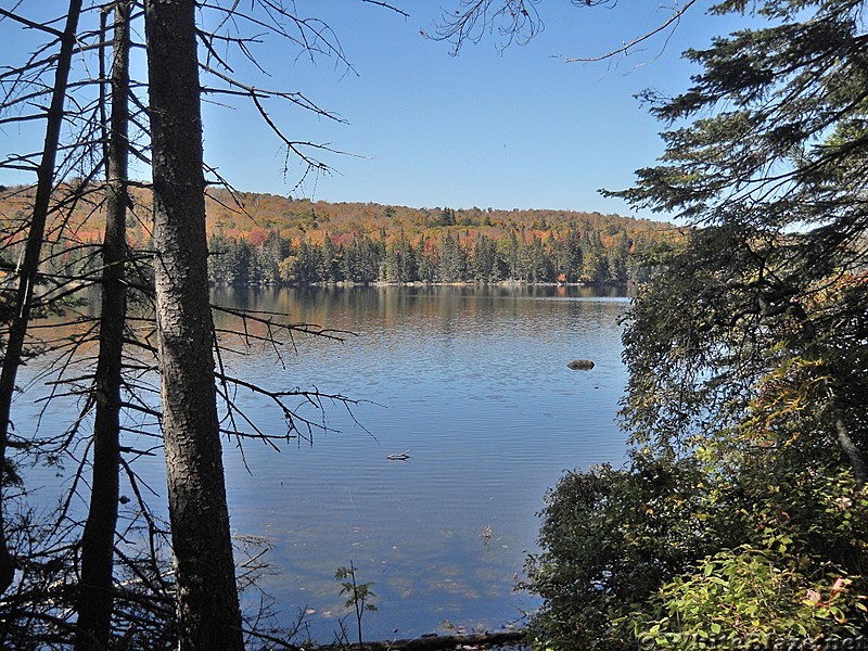 Northville Placid Trail in Adirondacks