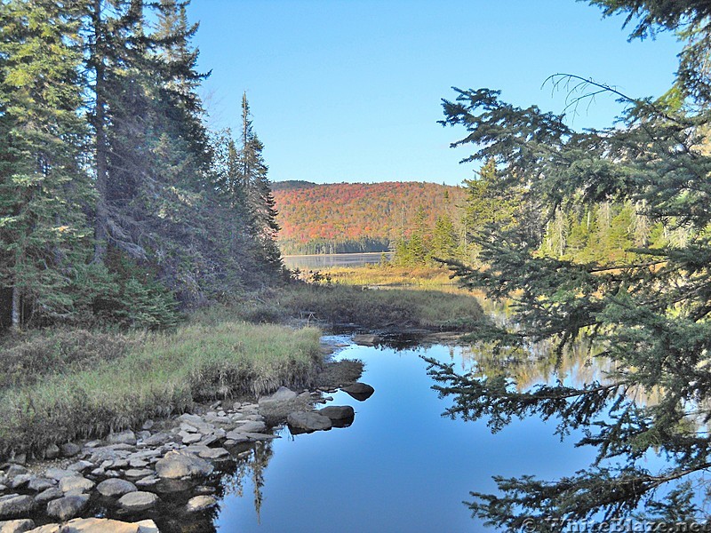 Northville Placid Trail in Adirondacks