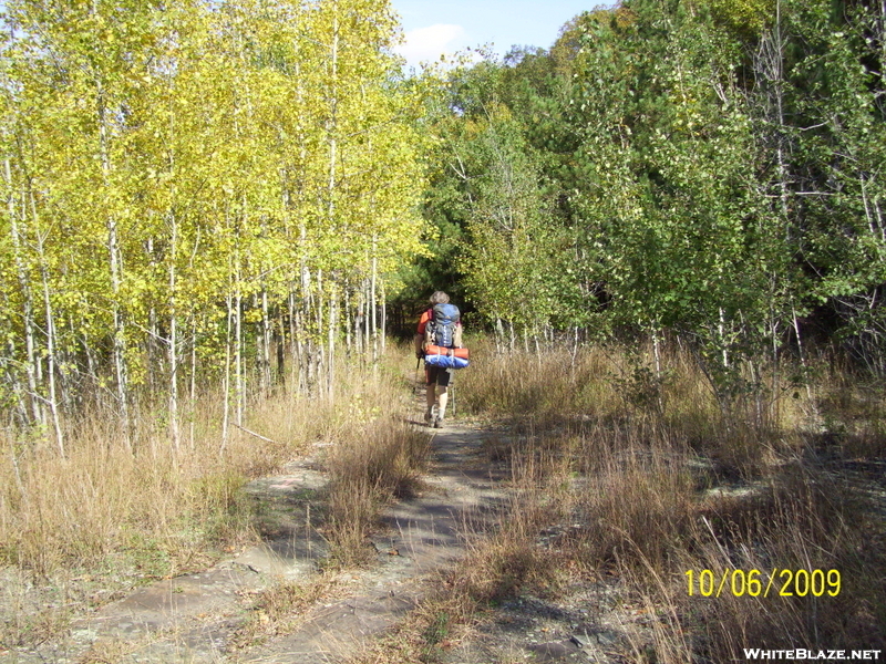 Cookerhiker Hikes The Black Forest Trail