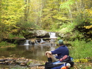 Northern Harrier On Black Forest Trail, Pa by Cookerhiker in Other Trails