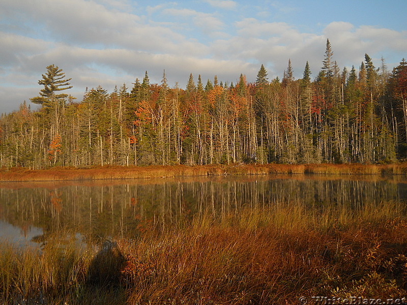 Northville Placid Trail in Adirondacks