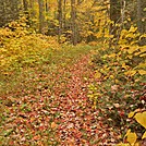 Northville Placid Trail in Adirondacks