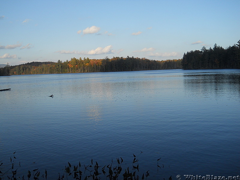 Northville Placid Trail in Adirondacks