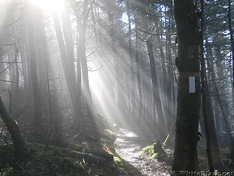 Sun breaking through fog on Killington massif