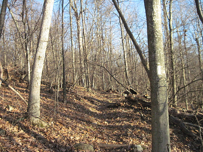 Shenandoah NP